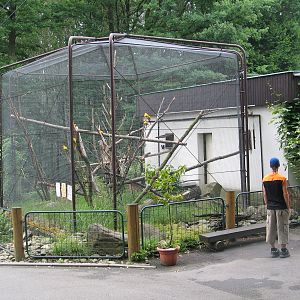 Ostrava Zoo - June 2005