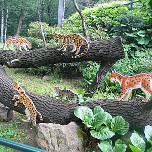 Ostrava Zoo -June 2005