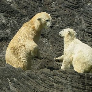 Berta and Tom at Prague zoo