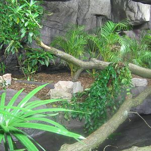Water monitor enclosure