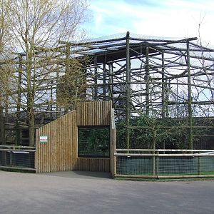 Javan Gibbon enclosure (cage)
