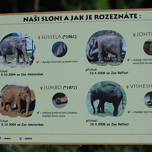 Ostrava Zoo - All about ELEPHANTS !!!!!