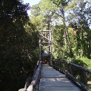 Suspension Bridge