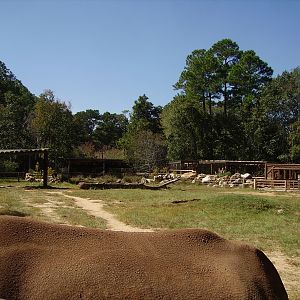 Black Rhino Yard