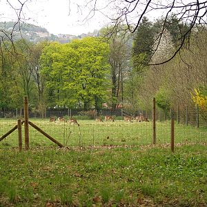 Parc Animalier du Chateau de Vizille