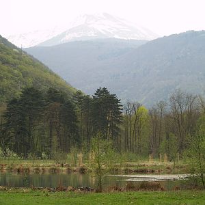 Parc Animalier du Chateau de Vizille