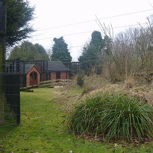 Rare Lemur Breeding Centre