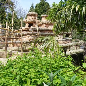 Baboon Rock exhibit at Paignton Zoo, 13 April 2009