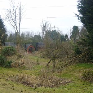 Rare Lemur Breeding Centre Outdoor Enclosure