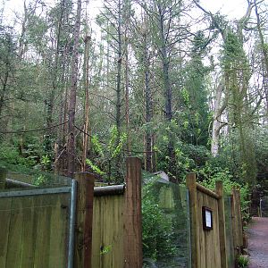 Coati enclosure at Cricket St Thomas 10/04/09
