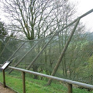 Snow-damaged aviary at Cricket St Thomas 10/04/09