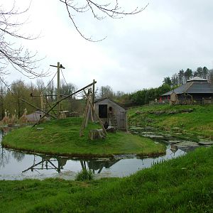 Sulawesi Crested Macaque island at Cricket St Thomas 10/04/09