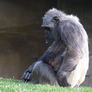 Mirinda & and her new son