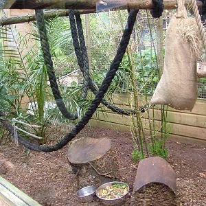 Mixed exhibit at Shaldon 10/04/09