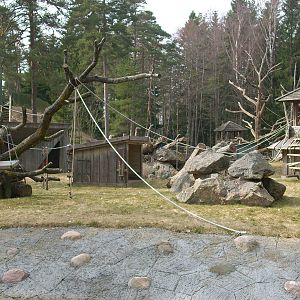 Gorilla island kolmården Zoo