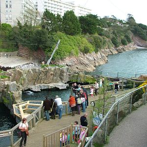 Fur Seal Cove at Living Coasts 10/04/09