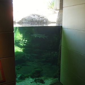 Blue Hole Springs - Flint River Gallery