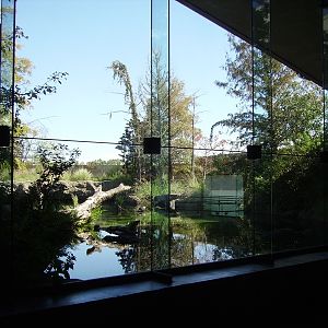 Skywater - Blue Hole Spring