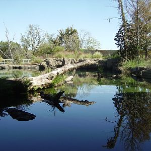 Skywater - Blue Hole Spring