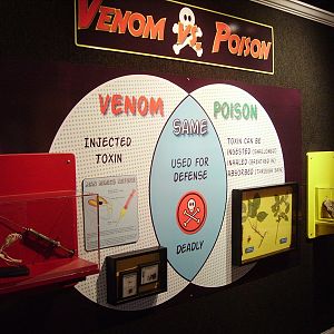 Venom vs. Posion - Venom Gallery