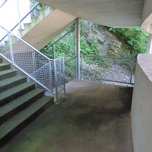 Bear Ravine Staircase