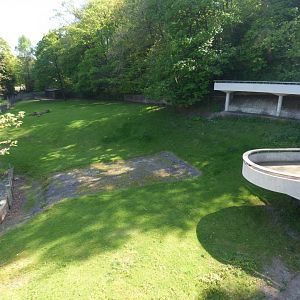View of Paddock from Bear Ravine