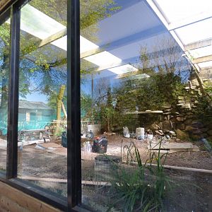 New Lynx Indoor on site of former Geoffrey's Cat exhibit