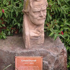Gerald Durrell Bust