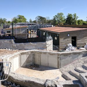 Islands Construction - 04/05/2017