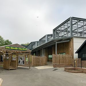 Chimpanzee house : Wingham : 06 May 2017