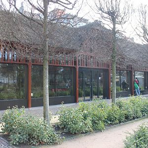 Koala - Tree kangaroo House