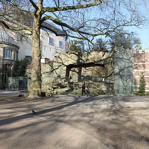 Outdoor-monkey Enclosure