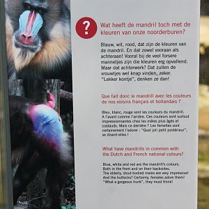 Info Mandrill