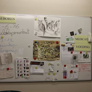 Notes in the Feeding-kitchen