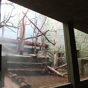 Tamarin - Marmoset enclosure