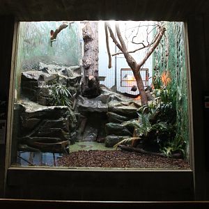 Tamarin - Marmoset enclosure
