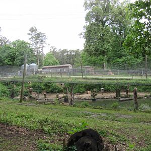 Avian Breeding Center