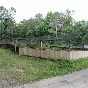 Avian Breeding Center