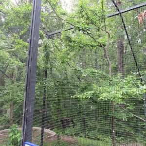 Wings of the Tropics- African Fish Eagle Aviary