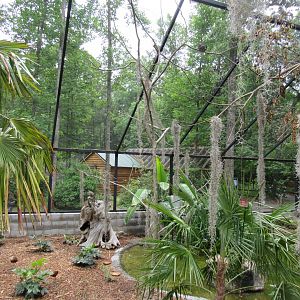 Wings of the Tropics- Free Flight Aviary