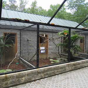 Wings of the Tropics- Aviaries