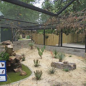 Wings of the Tropics- Desert Aviary