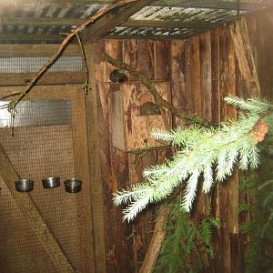 Glad Zoo - Squirrel exhibit