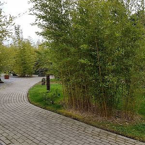 General view in the Park