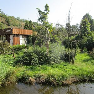 Common squirrel monkey enclosure