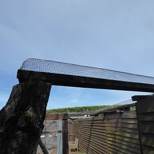 Work on new Chipmunk exhibit, 1st May 2017