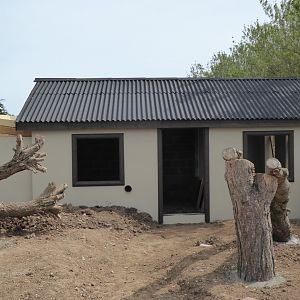 Work on new Meerkat exhibit, 1st May 2017