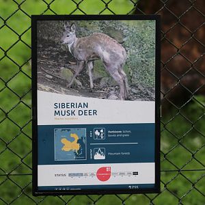 Siberian Musk-Deer Signage