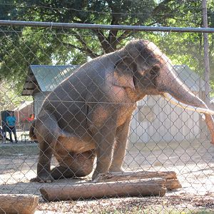 Luke Performing 1 November 2010