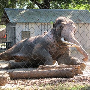 Luke Performing 2 November 2010